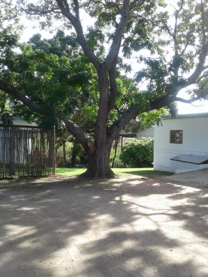Apartamento Woodpecker Plettenberg Bay Exterior foto